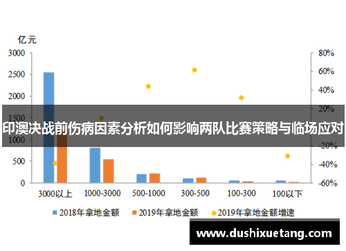 印澳决战前伤病因素分析如何影响两队比赛策略与临场应对