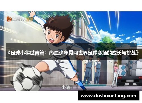 《足球小将世青篇：热血少年勇闯世界足球赛场的成长与挑战》
