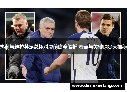热刺与维拉英足总杯对决前瞻全解析 看点与关键球员大揭秘