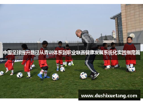中国足球提升路径从青训体系到职业联赛健康发展系统化实践指南篇