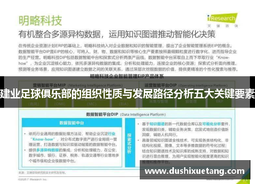 建业足球俱乐部的组织性质与发展路径分析五大关键要素